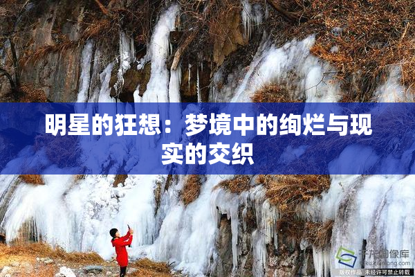 明星的狂想：梦境中的绚烂与现实的交织