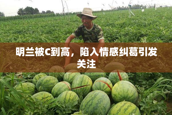 明兰被C到高，陷入情感纠葛引发关注
