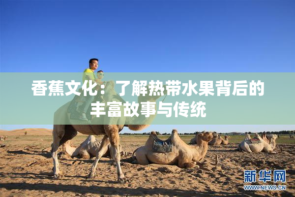 香蕉文化：了解热带水果背后的丰富故事与传统