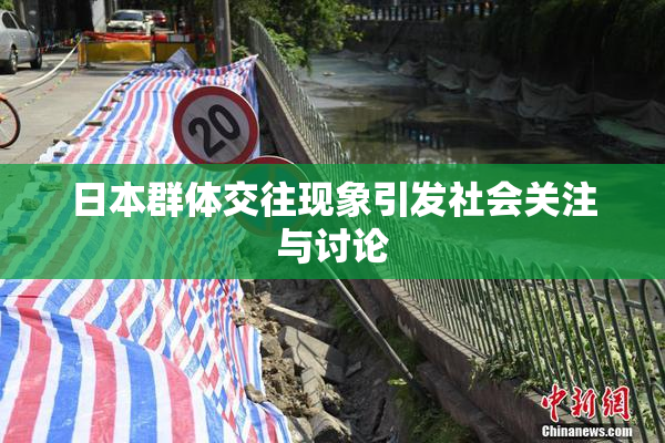 日本群体交往现象引发社会关注与讨论