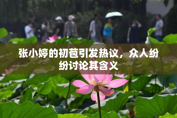 张小婷的初苞引发热议，众人纷纷讨论其含义