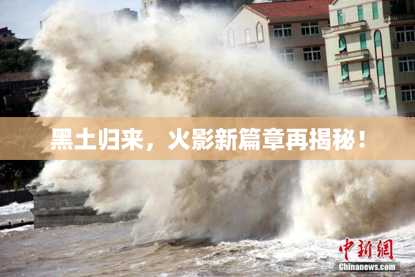 黑土归来，火影新篇章再揭秘！