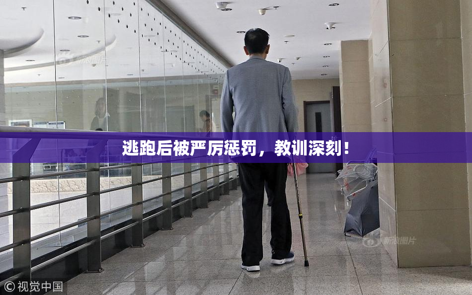 逃跑后被严厉惩罚，教训深刻！