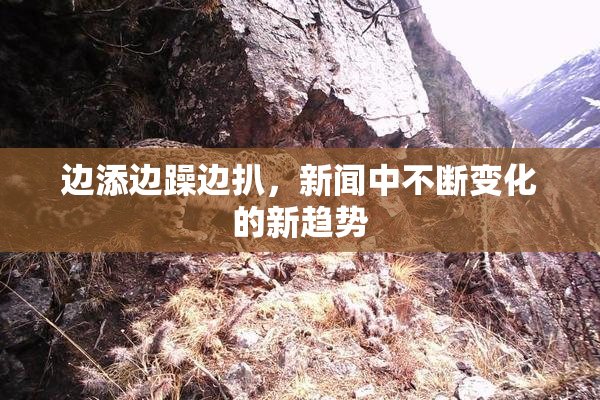 边添边躁边扒，新闻中不断变化的新趋势
