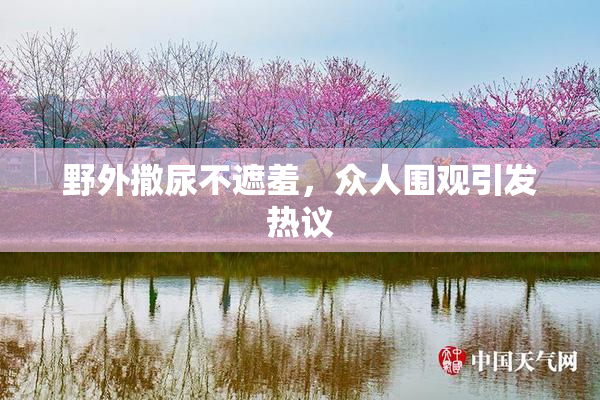 野外撒尿不遮羞，众人围观引发热议