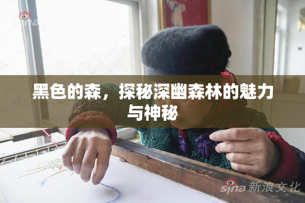 黑色的森，探秘深幽森林的魅力与神秘