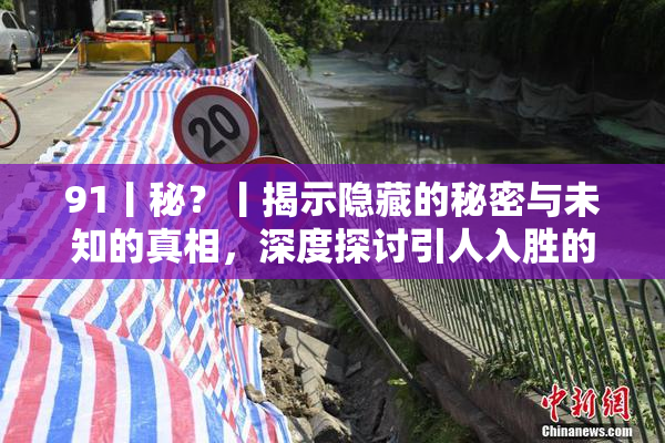 91丨秘？丨揭示隐藏的秘密与未知的真相，深度探讨引人入胜的故事