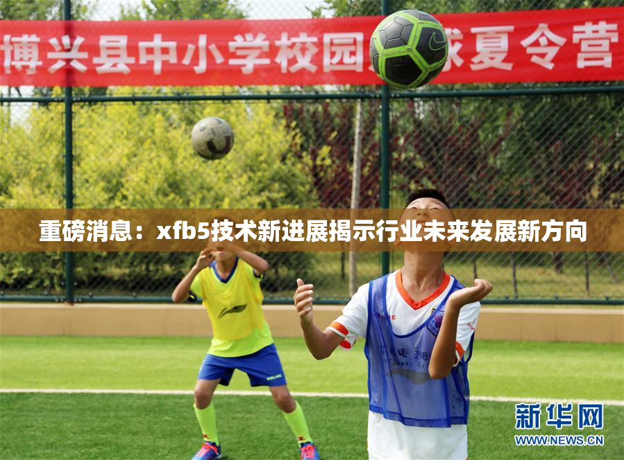 重磅消息：xfb5技术新进展揭示行业未来发展新方向