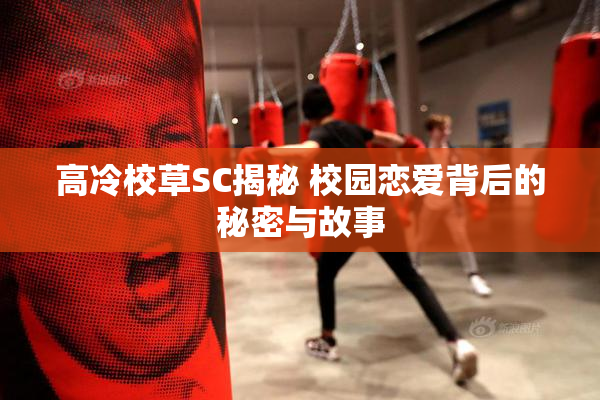 高冷校草SC揭秘 校园恋爱背后的秘密与故事