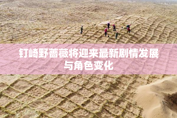 钉崎野蔷薇将迎来最新剧情发展与角色变化