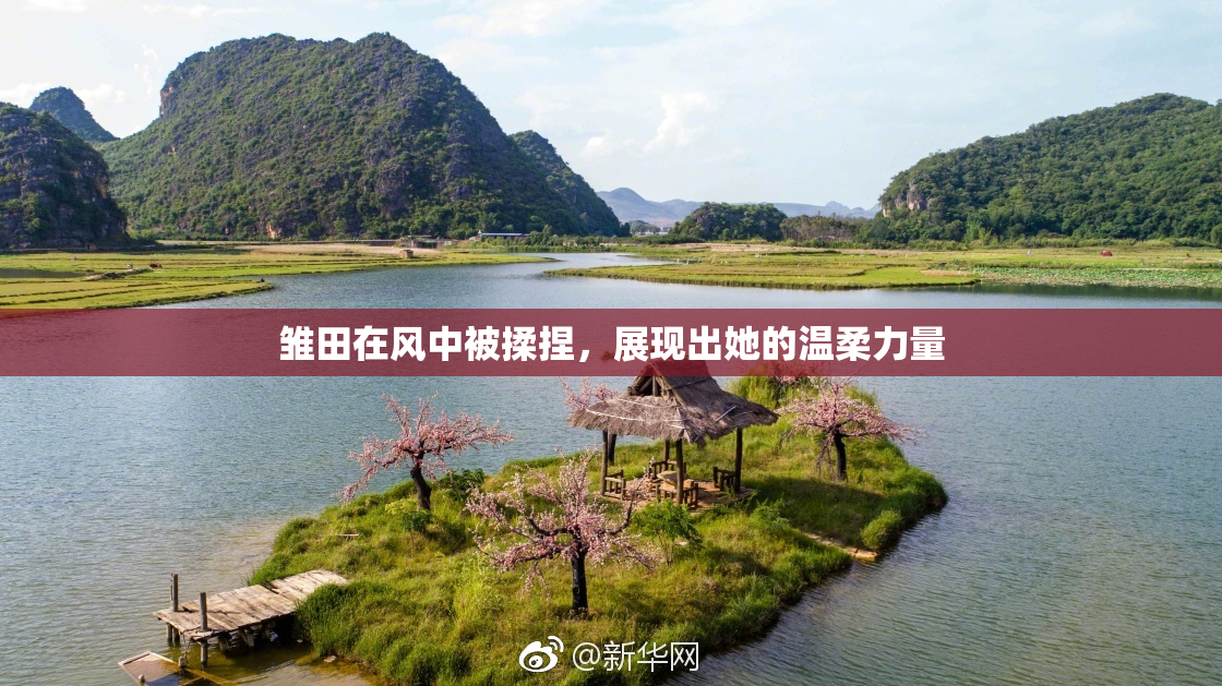 雏田在风中被揉捏，展现出她的温柔力量