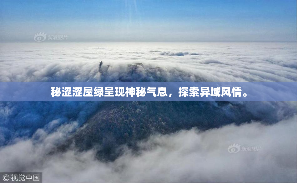 秘涩涩屋绿呈现神秘气息，探索异域风情。