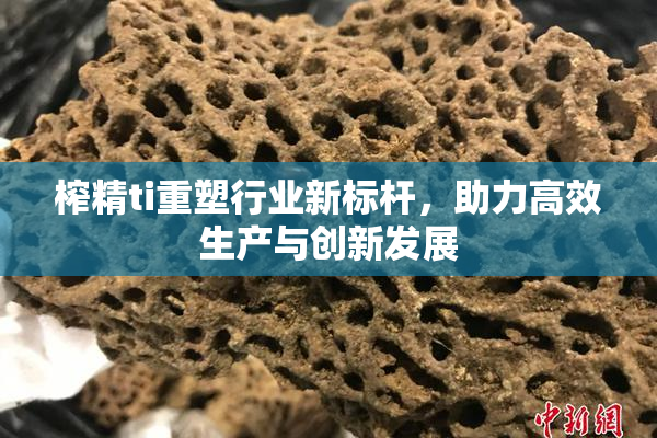 榨精ti重塑行业新标杆，助力高效生产与创新发展