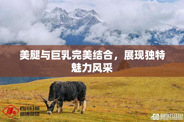 美腿与巨乳完美结合，展现独特魅力风采