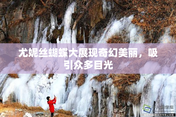 尤妮丝蝴蝶大展现奇幻美丽，吸引众多目光