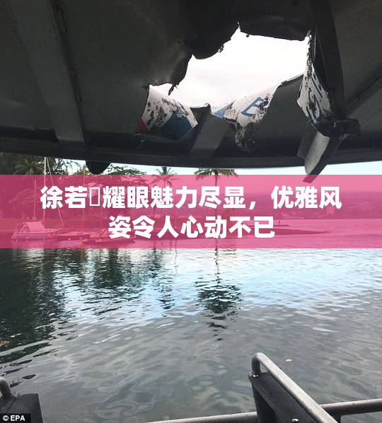 徐若瑄耀眼魅力尽显，优雅风姿令人心动不已