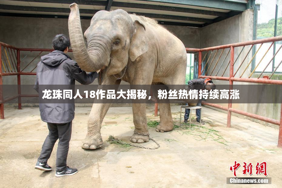 龙珠同人18作品大揭秘，粉丝热情持续高涨