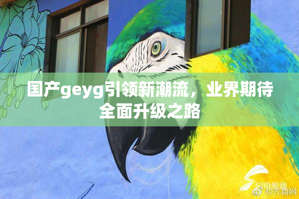 国产geyg引领新潮流，业界期待全面升级之路