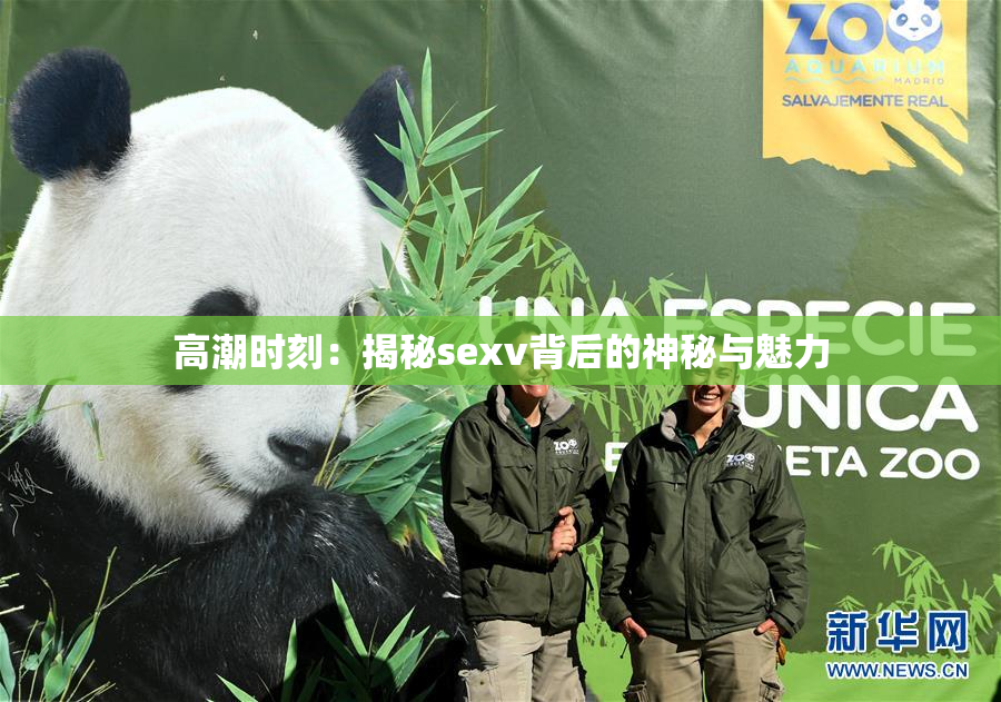 高潮时刻：揭秘sexv背后的神秘与魅力