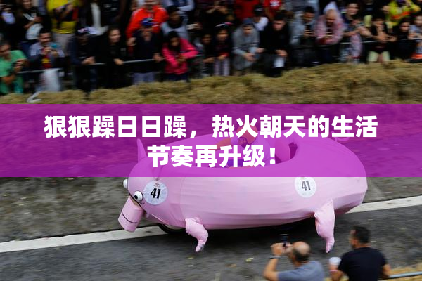 狠狠躁日日躁，热火朝天的生活节奏再升级！