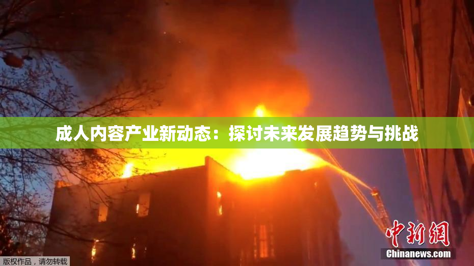 成人内容产业新动态：探讨未来发展趋势与挑战
