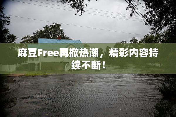 麻豆Free再掀热潮，精彩内容持续不断！