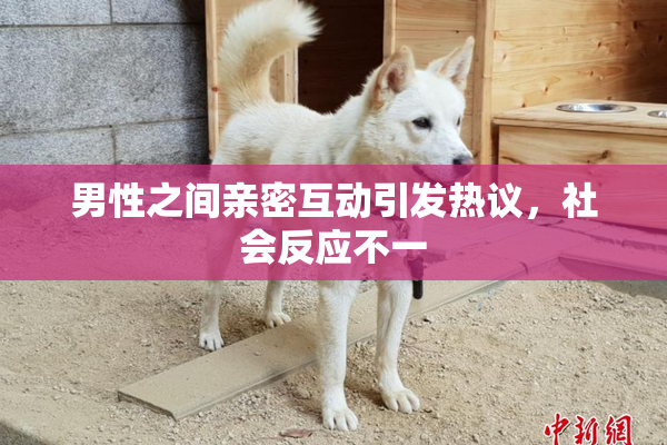 男性之间亲密互动引发热议，社会反应不一