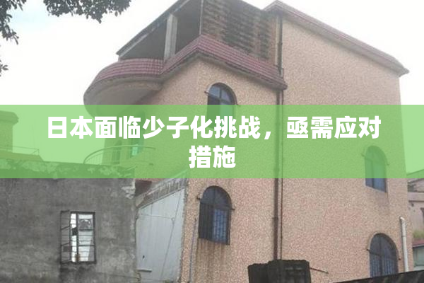 日本面临少子化挑战，亟需应对措施