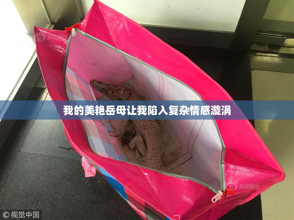 我的美艳岳母让我陷入复杂情感漩涡