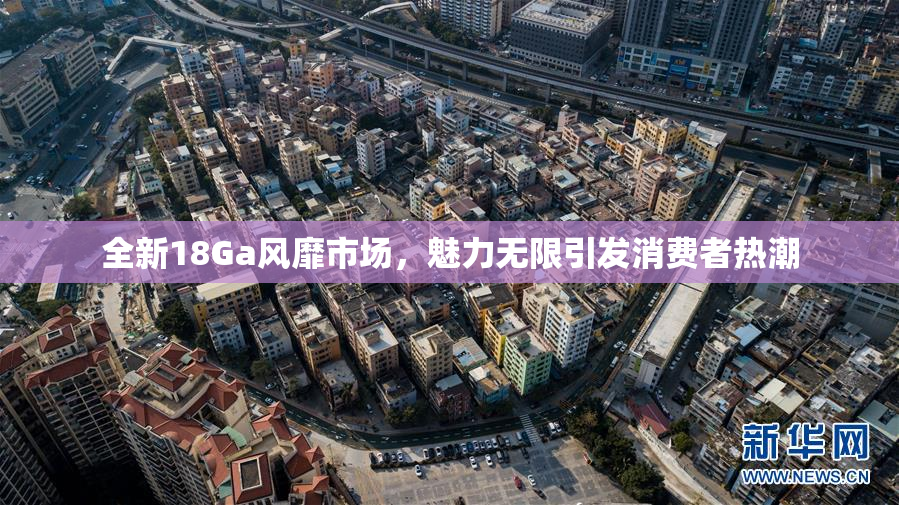 全新18Ga风靡市场，魅力无限引发消费者热潮