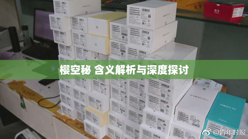 樱空秘 含义解析与深度探讨