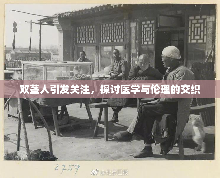 双茎人引发关注，探讨医学与伦理的交织