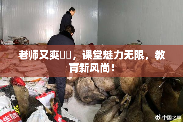 老师又爽❌‌，课堂魅力无限，教育新风尚！