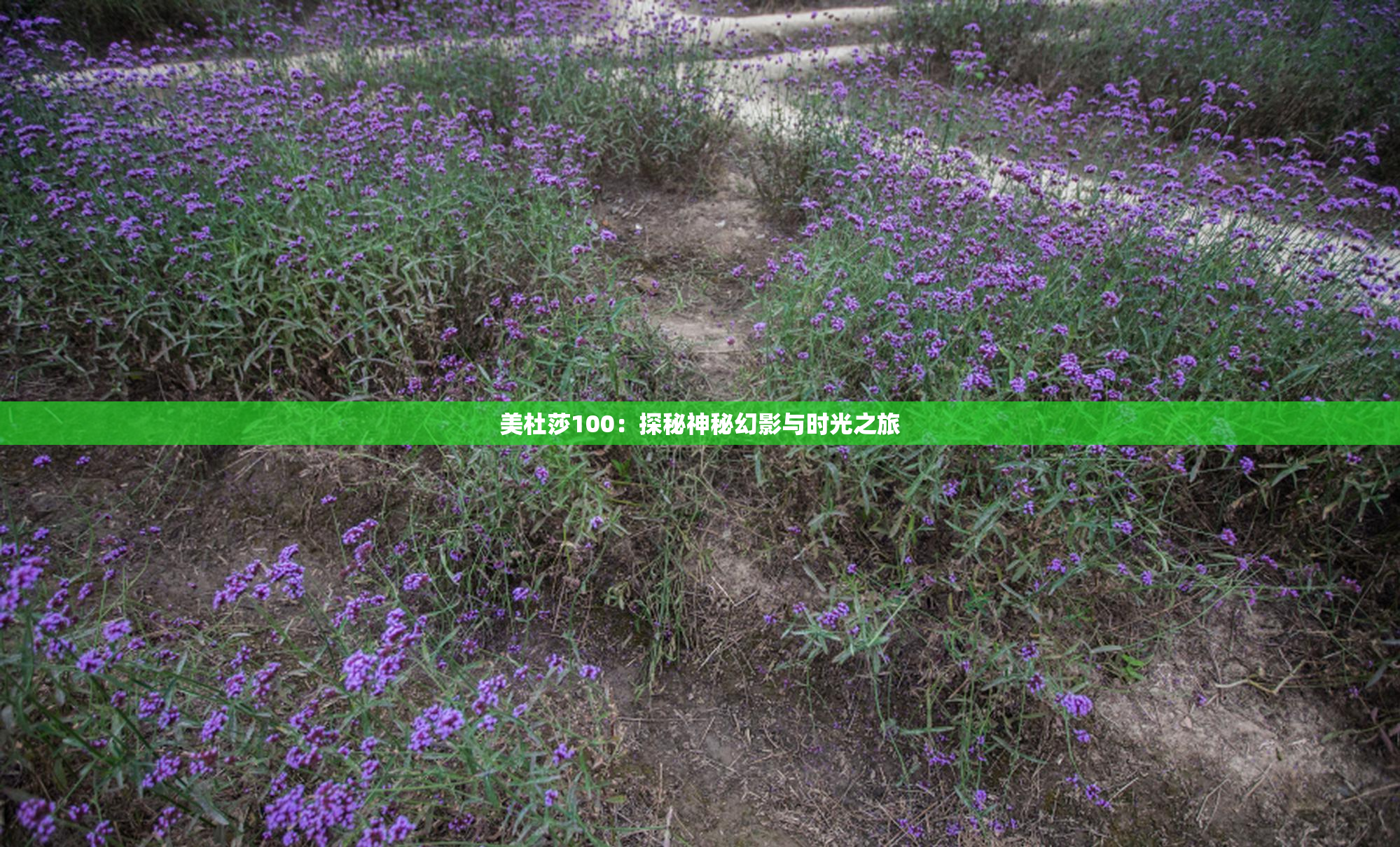 美杜莎100：探秘神秘幻影与时光之旅