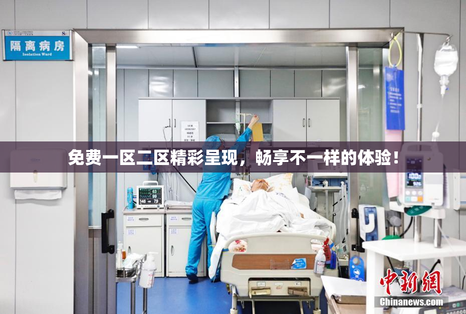 免费一区二区精彩呈现，畅享不一样的体验！