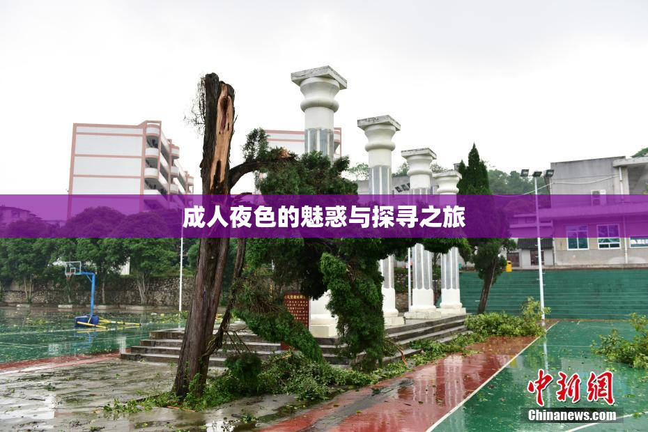 成人夜色的魅惑与探寻之旅