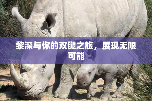 黎深与你的双腿之旅，展现无限可能
