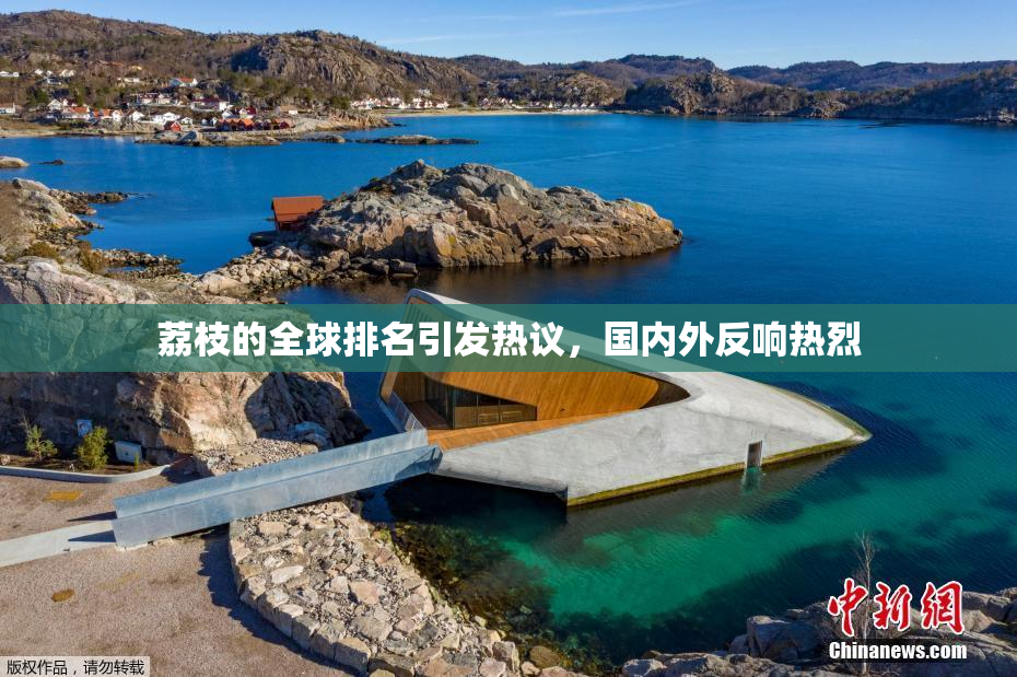 荔枝的全球排名引发热议，国内外反响热烈