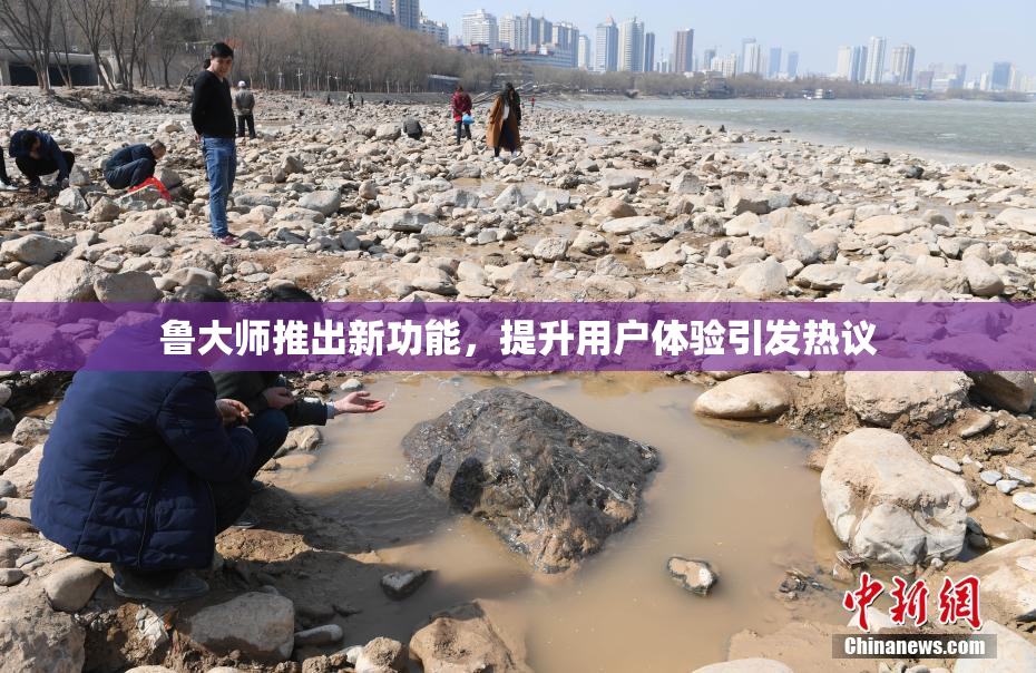 鲁大师推出新功能，提升用户体验引发热议