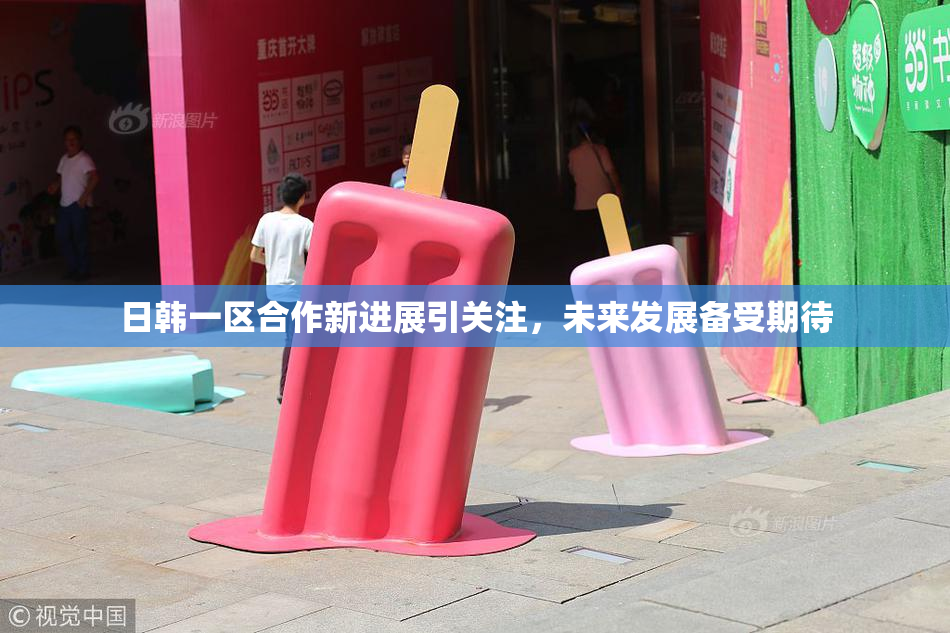 日韩一区合作新进展引关注，未来发展备受期待