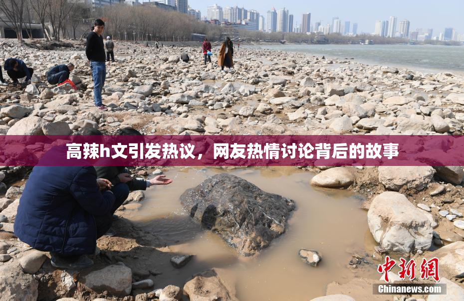 高辣h文引发热议，网友热情讨论背后的故事