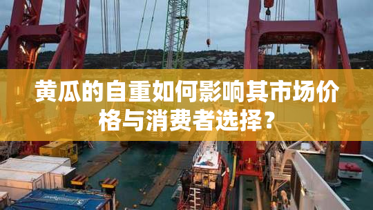 黄瓜的自重如何影响其市场价格与消费者选择？