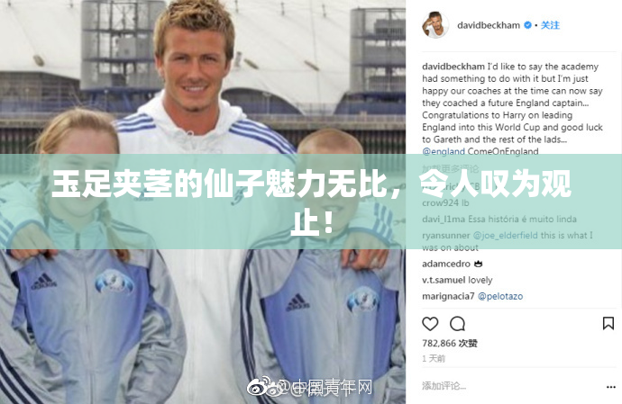 玉足夹茎的仙子魅力无比，令人叹为观止！