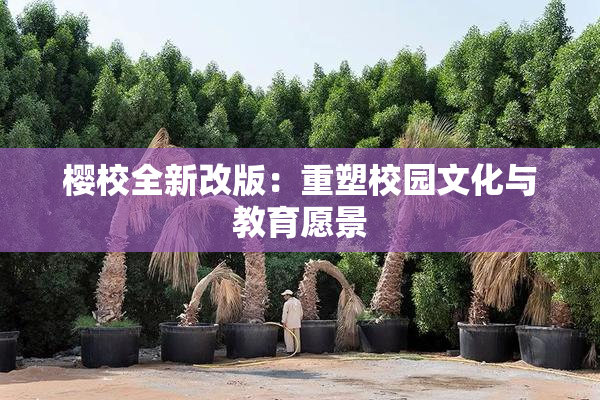 樱校全新改版：重塑校园文化与教育愿景