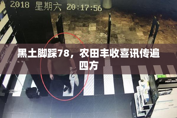 黑土脚踩78，农田丰收喜讯传遍四方