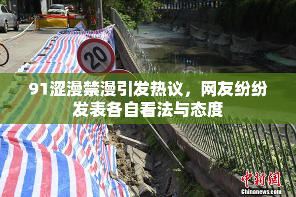 91涩漫禁漫引发热议，网友纷纷发表各自看法与态度