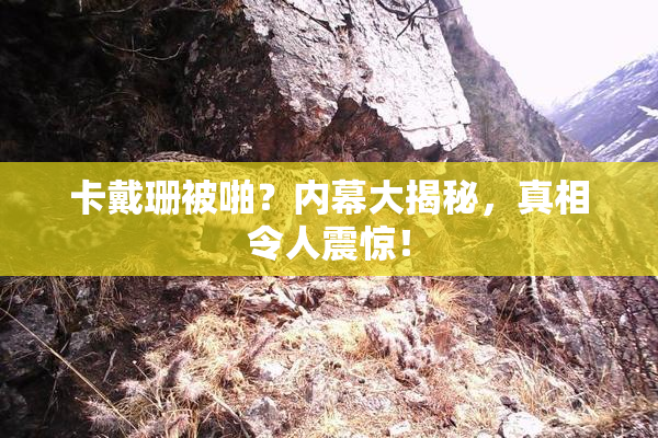 卡戴珊被啪？内幕大揭秘，真相令人震惊！