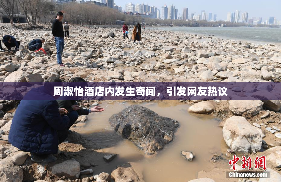 周淑怡酒店内发生奇闻，引发网友热议