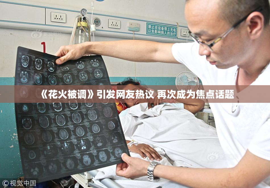 《花火被调》引发网友热议 再次成为焦点话题