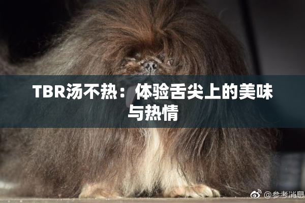 TBR汤不热：体验舌尖上的美味与热情